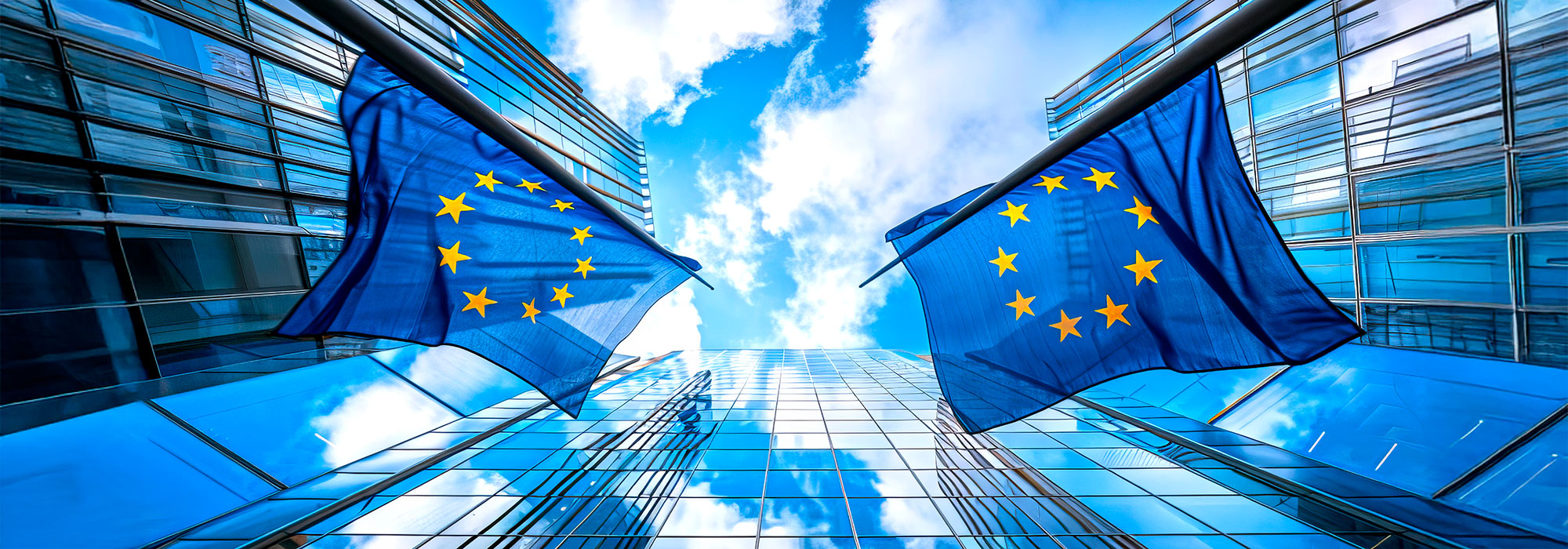 ¿Por qué es tan importante el DNSH para conseguir los fondos europeos?