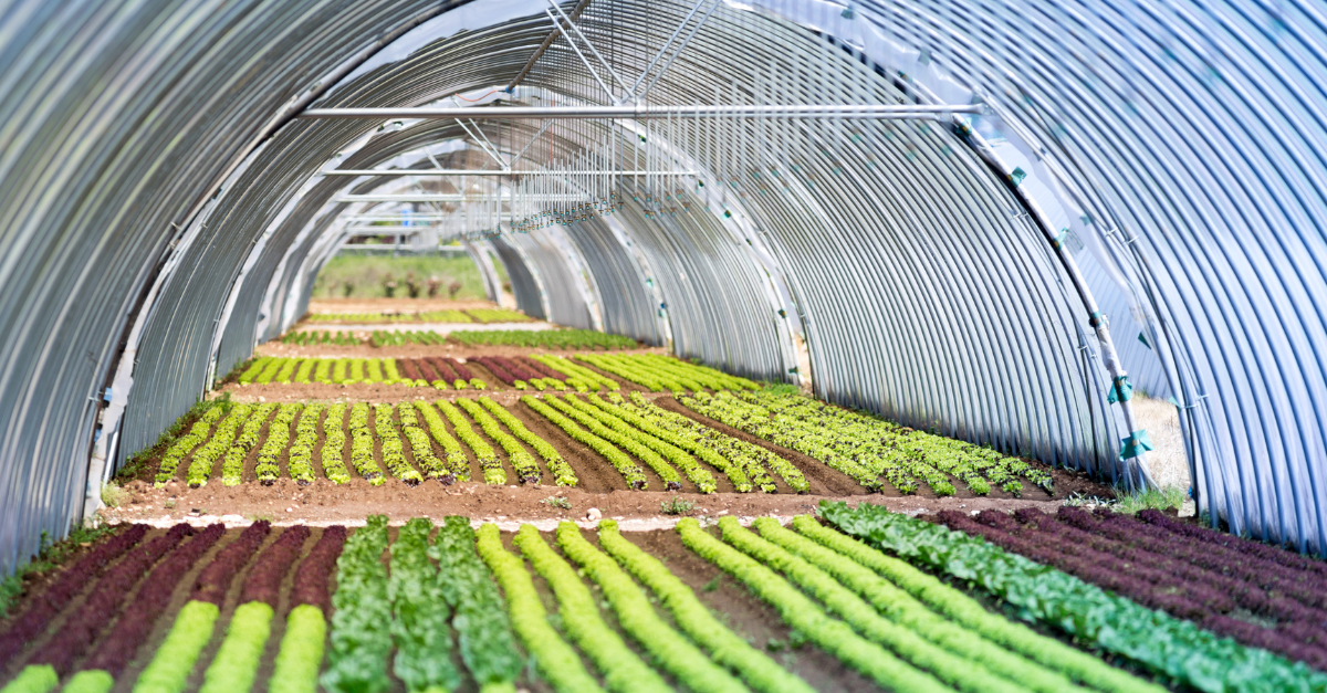 Circular Bio-based Europe Joint Undertaken