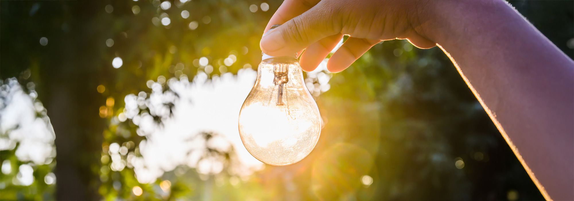 Programa LIFE 2025: financiación europea para el medio ambiente, el clima y la transición energética 